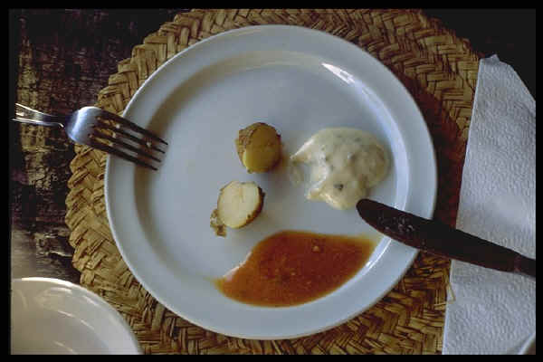 IMG0021.jpg (100522 Byte)